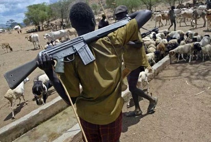  Nigeria Needs Strong  Laws To Stop Mindless Killings-Seriki Fulani