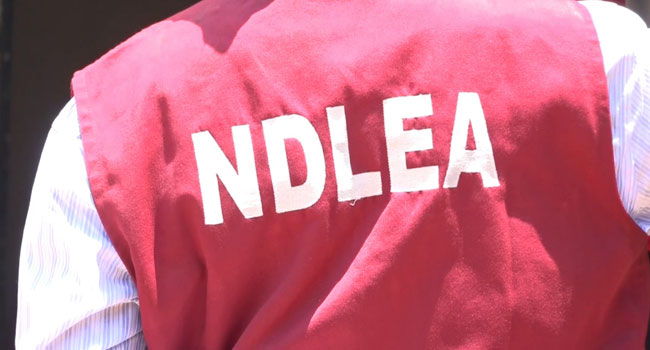 NDLEA impounds 979,667kgs Of Drugs 