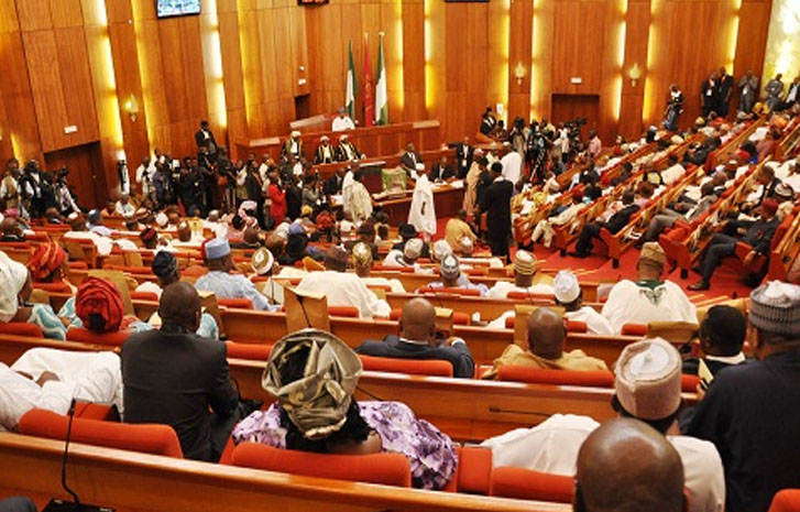How Knife Wielding Attacker Stormed National Assembly