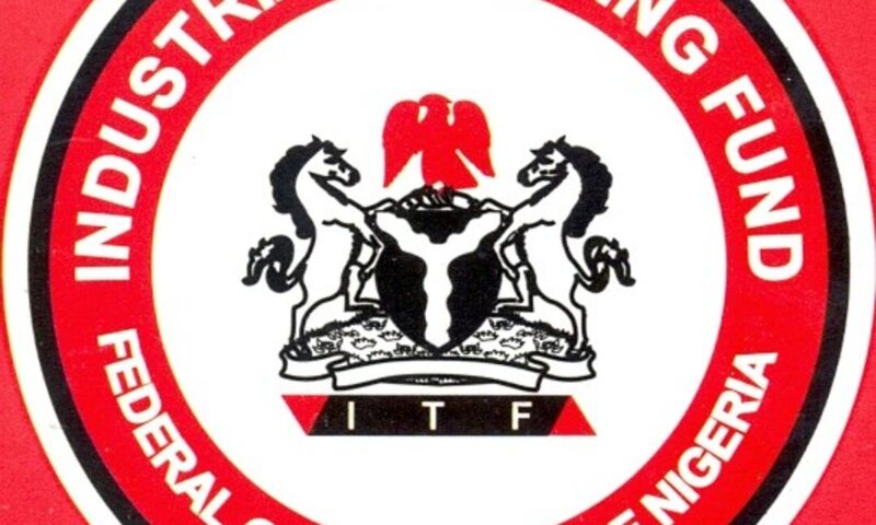 UK Group  Confers Fellowship Award on ITF Boss