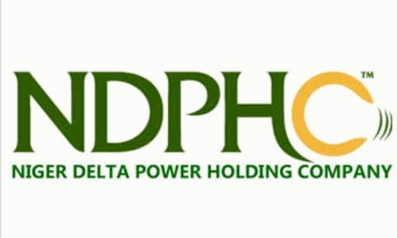 Reps Move Against  Privatization Of NDPHC 