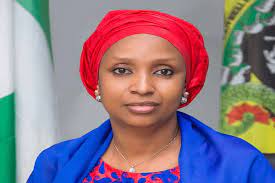 Suleiman Heads  Probe Panel Of Suspended NPA Boss