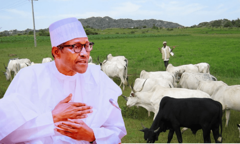 Open Grazing:Buhari,Presidency And The Rest Of Us