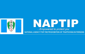 NAPTIP Jails 550 Traffickers  