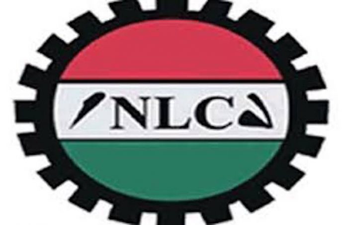 LG Autonomy:NLC Warns Against Sabotage Of Supreme Court Verdict
