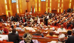  Senate Faults Secret Employment In MDAs,Gives Accelerated Attention To Anti-Fake Goods  Bill