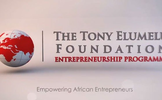  Elumelu Foundation Launches 2022  Entrepreneurship Programme