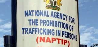 Benue:NAPTIP, Police Arrest Female Trafficker, Six Female Victims 