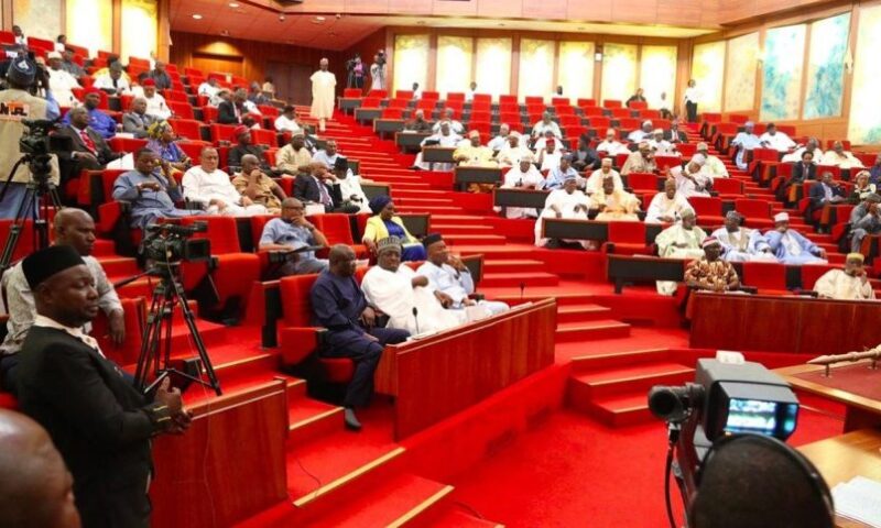 Senate Halts Concession Of Zungeru Power Project 