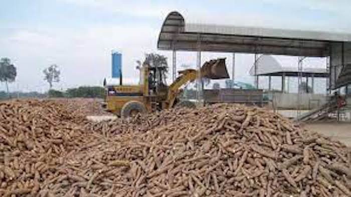 Bayelsa Cassava Processing Plant