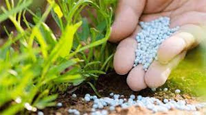 FG Chases Fake Fertilizer Producers