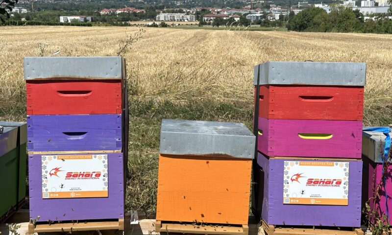 Sahara Energy Geneva Adopts Beehives To Boost Sustainability