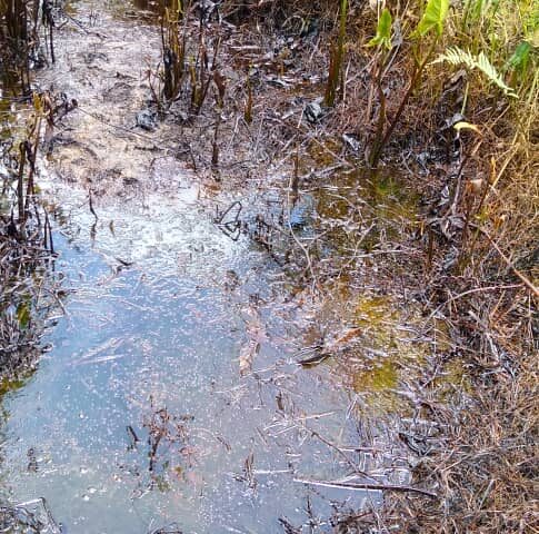 PH Refinery Pipeline Rupture Causes Spill,As Group Seeks Compensation