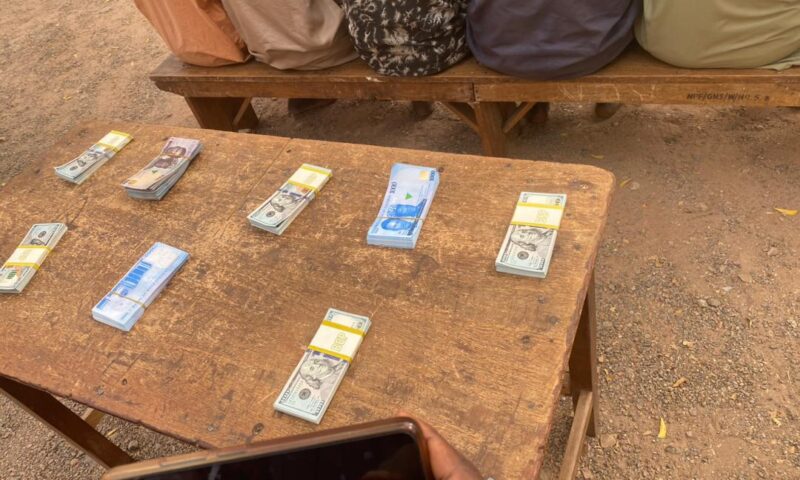 Gombe: Police Burst Fake US Dollars, Naira Syndicates