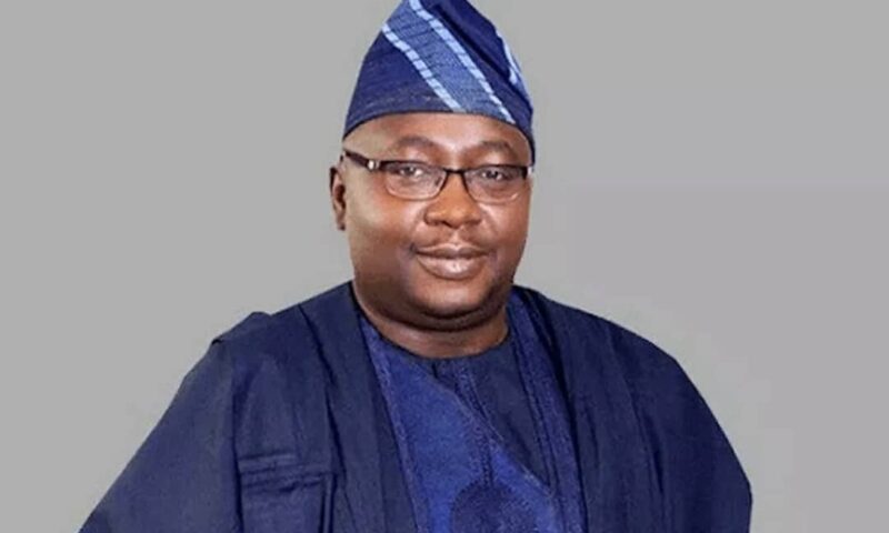 I Didn’t Advocate Removal Of Electricity Subsidy-Adelabu