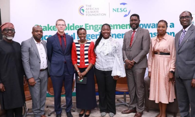 NESG,Foundation Partner To Strengthen Nigeria’s Energy Transition