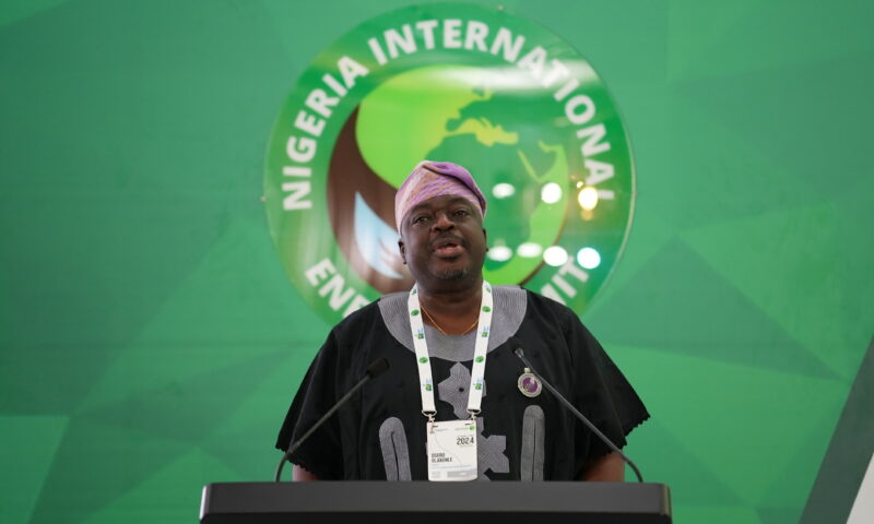 Africa Needs Gas To Meet Demands Of Industrialization,Says NLNG