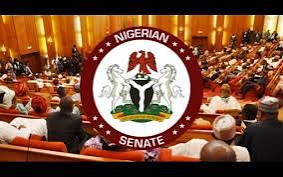 Senate Inaugurates Committee To Probe Buhari’s N30trn Ways And Means