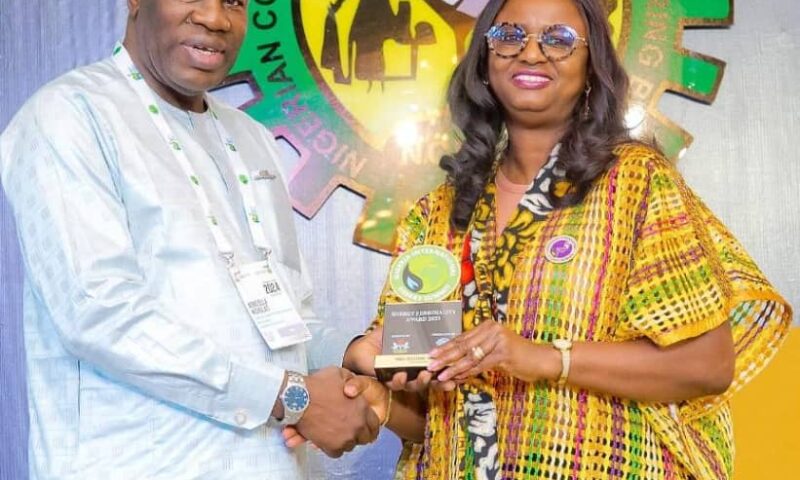 SNEPCo Boss,Elohor Aiboni Wins Energy Personality Award