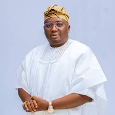 Power Sector Has Improved-Adelabu