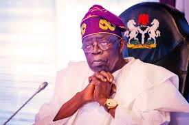 LG Autonomy: Demand Accountability From Your Leaders,Tinubu Tells Rural Dwellers