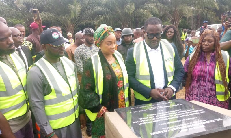 REA Commissions Two Solar Hybrid Mini-Grids In Edo Communities