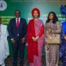 FG Unveils $100bn Creative Economy Growth Plan