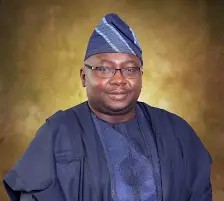 FG Will Restore Electricity To North This Week-Adelabu