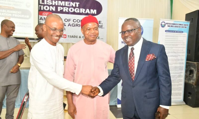 NDDC’s Chamber Of Commerce Initiative In Order-Akwa Ibom Governor