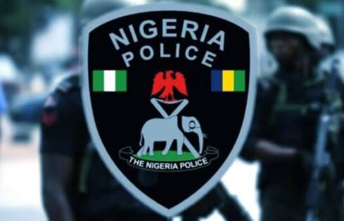 Cybercrimes:Police Arrest 113 Chinese,Malaysians,17 Nigerians