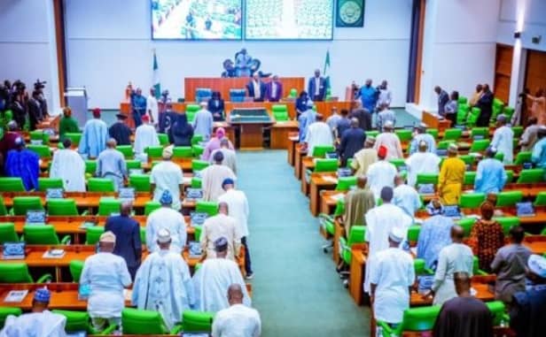 Reps Probe N30bn Unsettled Insurance Claims