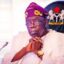 Ondo Poll:Tinubu Tells Losers To Seek Redress In Court